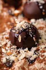 Chocolate candies with nuts, close up
