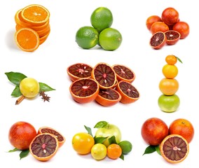 Citrus Collection