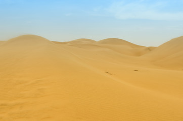 Fototapeta na wymiar dunes of cerro blanco