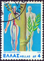 Grafted plant and human circulation diagram (Greece 1978)