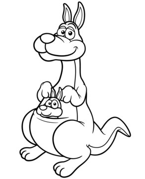 Vector illustration of Kangaroo cartoon - Coloring book