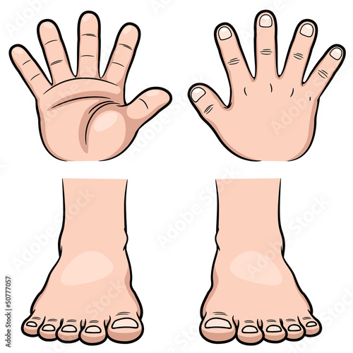 "Vector illustration of hands and feet" Stock image and royaltyfree