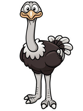 Vector illustration of Cartoon ostrich