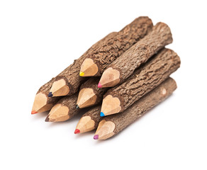 bunch of pencils stylized tree branch. isolated on the white
