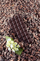 dark chocolate on a cocoa beans background