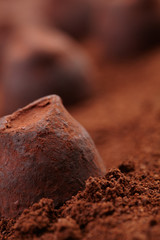 chocolate truffles