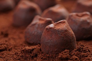chocolate truffles