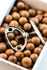 Macadamia Nuts and Nutcracker
