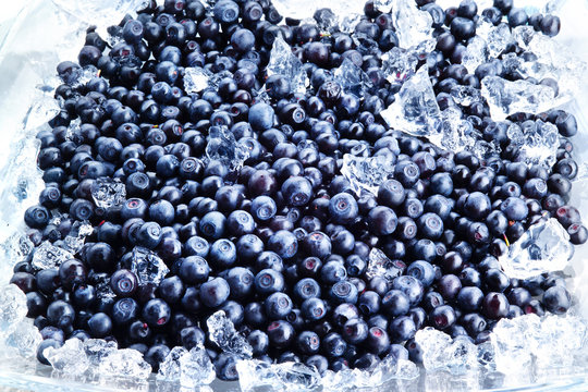 blueberry backgroung. berries with ice