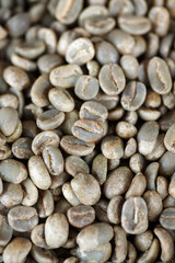 grüne kaffeebohnen in der rösterei