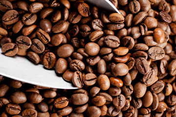 geröstete kaffeebohnen in nahaufnahme