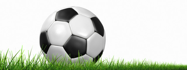 Soccer Ball with Grass isolated on white background