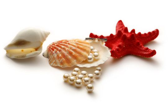 Scattering white pearls in seashell and seastar