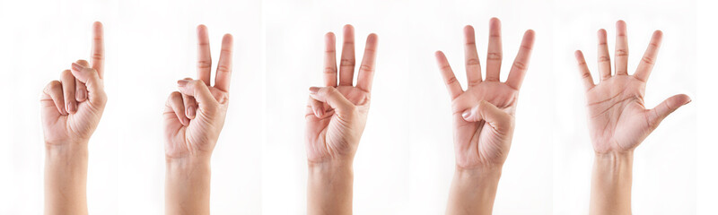 Counting hands (1 , 2, 3, 4, 5)