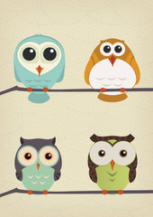 Owls set