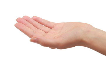 Woman hand palm holding or giving something. Closeup isolated - obrazy, fototapety, plakaty