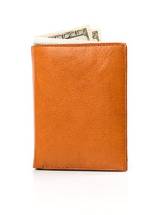 Banknotes dollars in leather brown purse