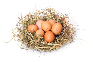 Brown eggs in a nest