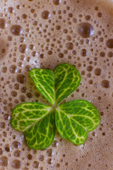 dark irish beer
