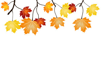 Frise feuillage d'automne