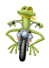 Biker Frosch