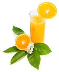 Orange  juice