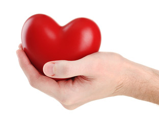 Fototapeta premium Red heart in man hand, isolated on white