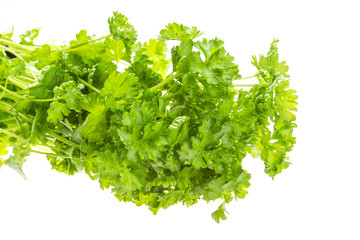 Ripe fresh Parsley