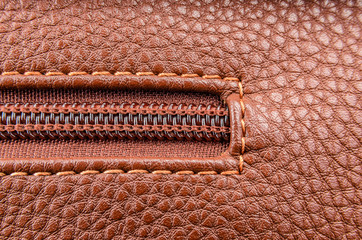 Items of clothing buttons, buckles and zippers