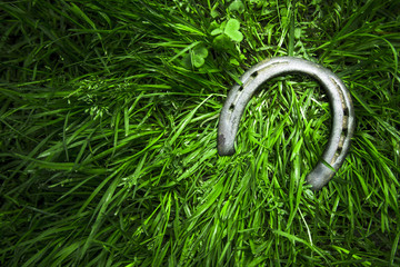 Iron horseshoe on green grass - obrazy, fototapety, plakaty
