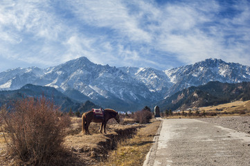 Landscape of Qilian mountain, Zhangye, Gansu of China