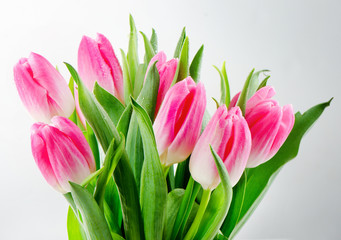 tulips