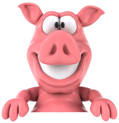 Fun pig