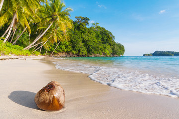 Uninhabited island in the national park Shendravasih in north-we