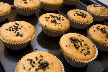 Freshly baked muffins in cups topped with chocolate .
