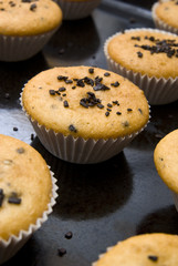 Freshly baked muffins in cups topped with chocolate .