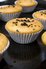 Freshly baked muffins in cups topped with chocolate .