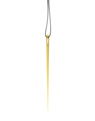 Golden needle hanging on a thread