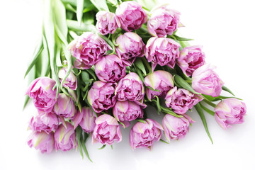 lovely pink