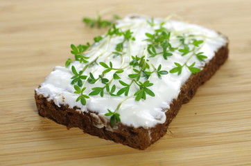 slice of bread with cottage cheese