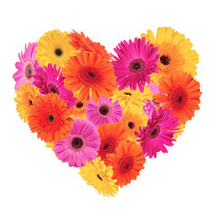 Obraz na płótnie Canvas Symbol serca z kwiatów Gerber