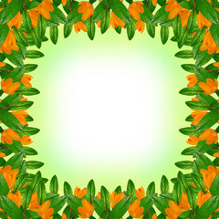 Green leaves and flowers frame