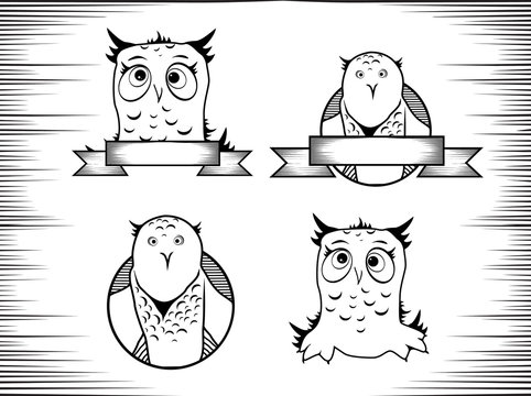 Owl Design Set