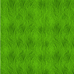 Vector grass background. eps10