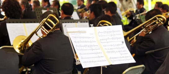 Meubelstickers orchestre du Mexique © photlook