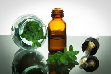 essential oil with oregano leaves - 50822693