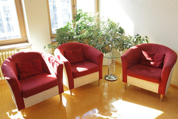 Sitzecke mit Pflanze - Drei bequeme Sessel