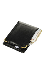 Wallet with Euro banknotes.