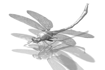 ガラスのトンボ © CODINGFACT