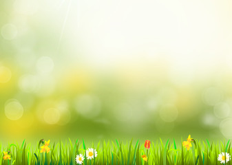 Obraz premium summer day